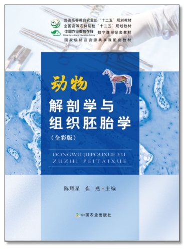 1569218927796_36292748