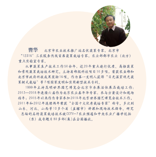 曹华 - 作者简介