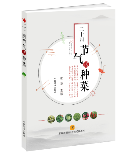 二十四节气话种菜