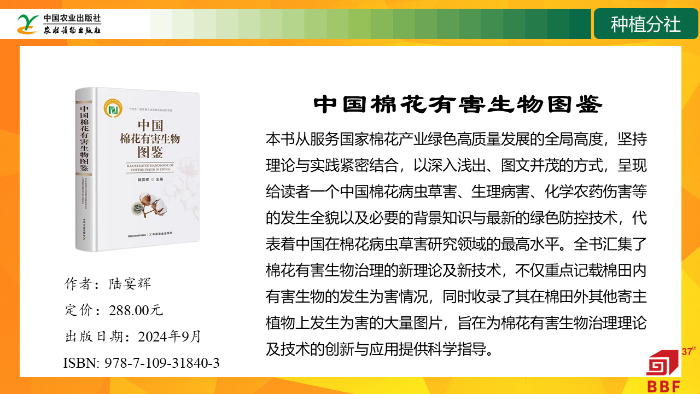 幻灯片7