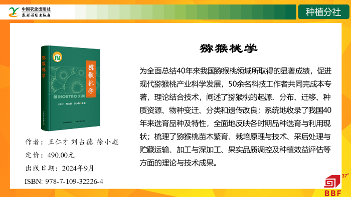 幻灯片8
