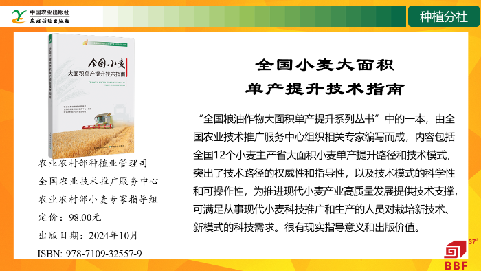 幻灯片12