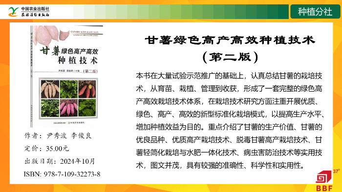 幻灯片16