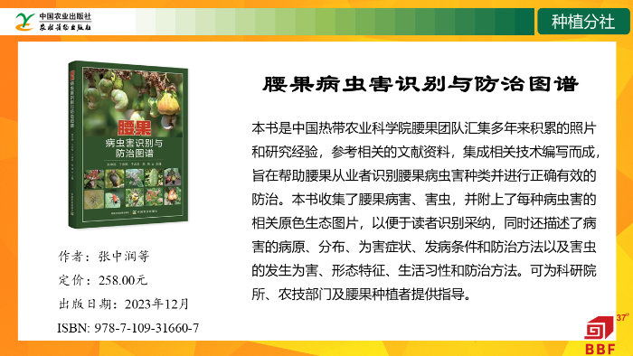 幻灯片18