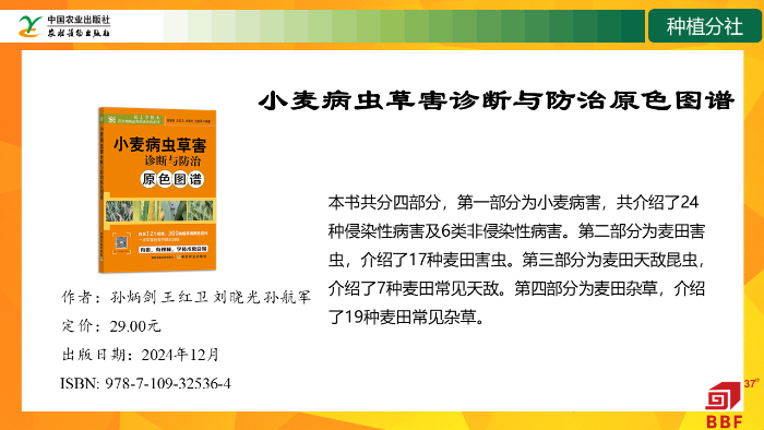 幻灯片22